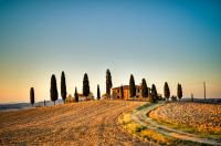 Caption caption caption