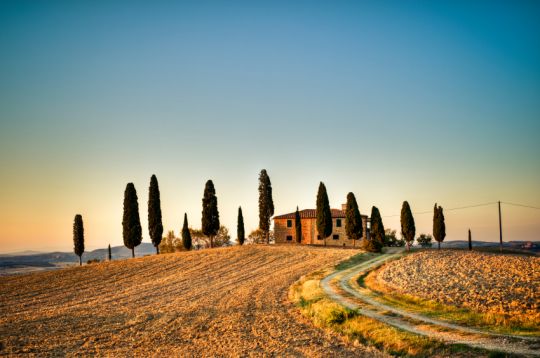 Caption caption caption.